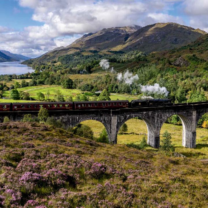 a train traveling through a lush green hillside